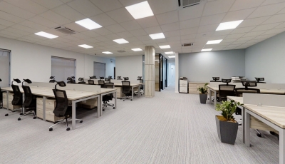 Kimberly Clark 3D Model