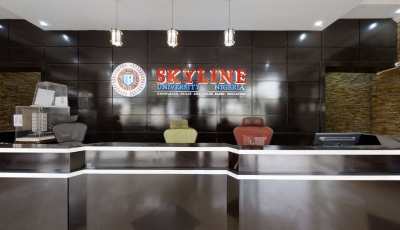 SKYLINE UNIVERSITY NIGERIA 3D Model