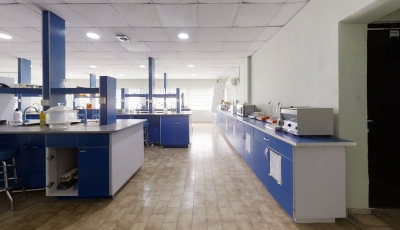 SKYLINE LABS AND CONFERENCE ROOM 3D Model