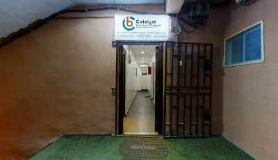 Catalyst Business Consult 3D Model