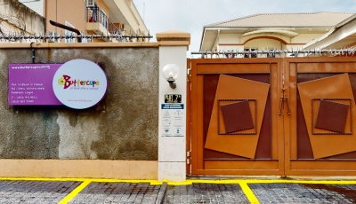 Buttercups Primary SChool 3D Model